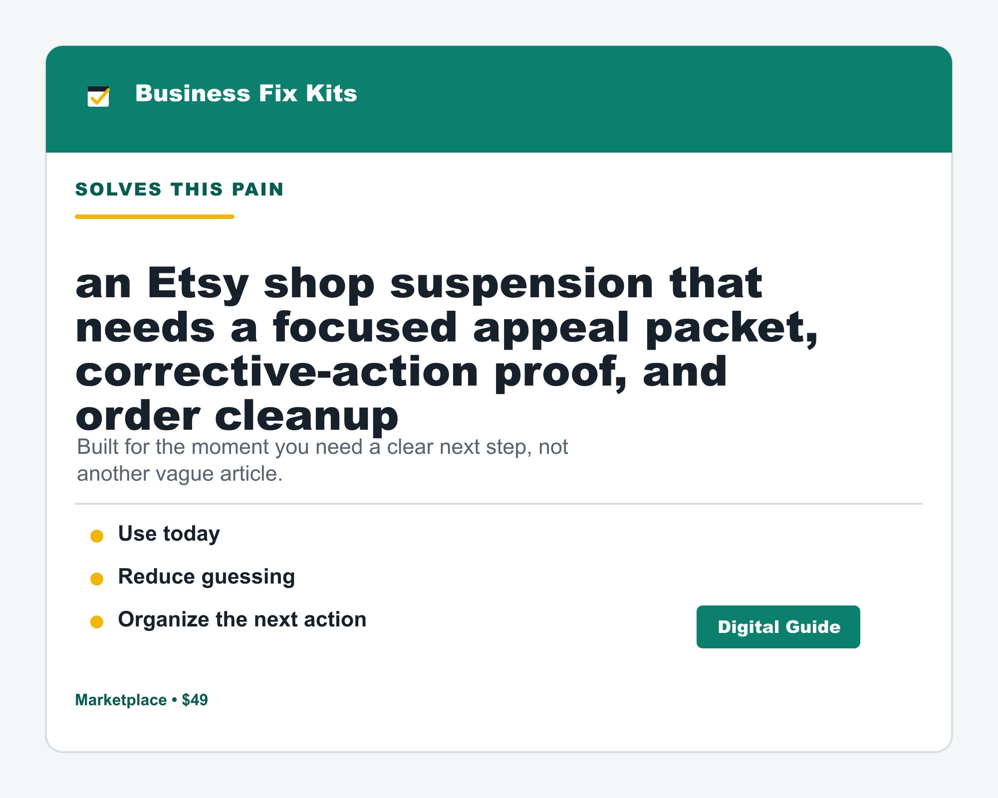 Etsy Shop Suspension Appeal + Reinstatement Kit product photo