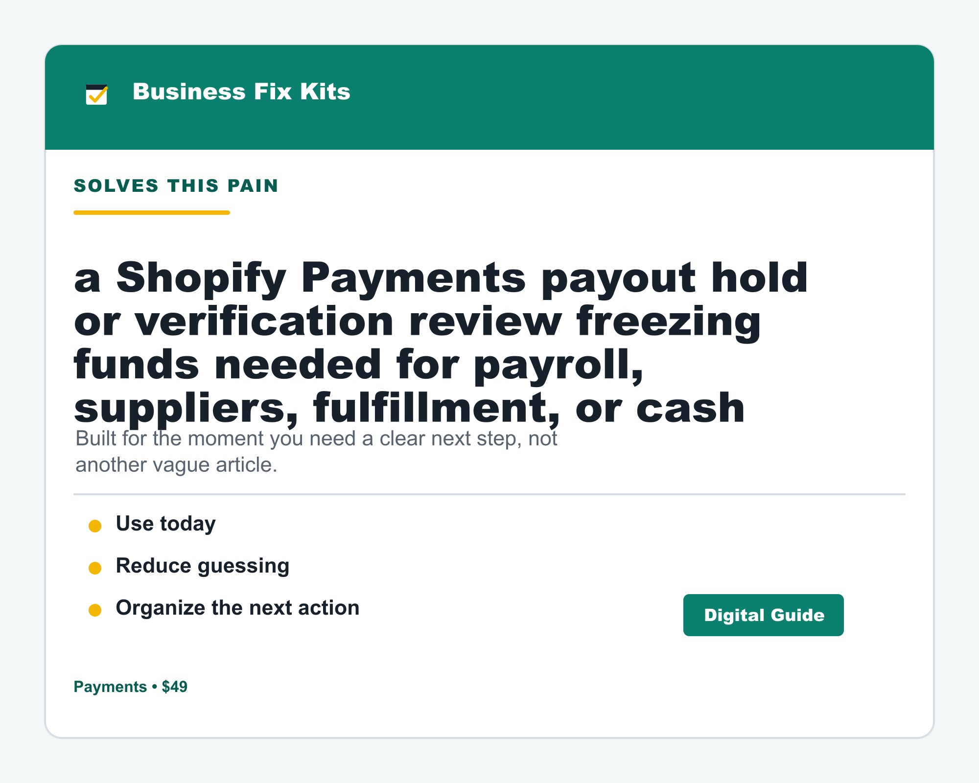 Shopify Payments Payout Hold Release Kit product photo
