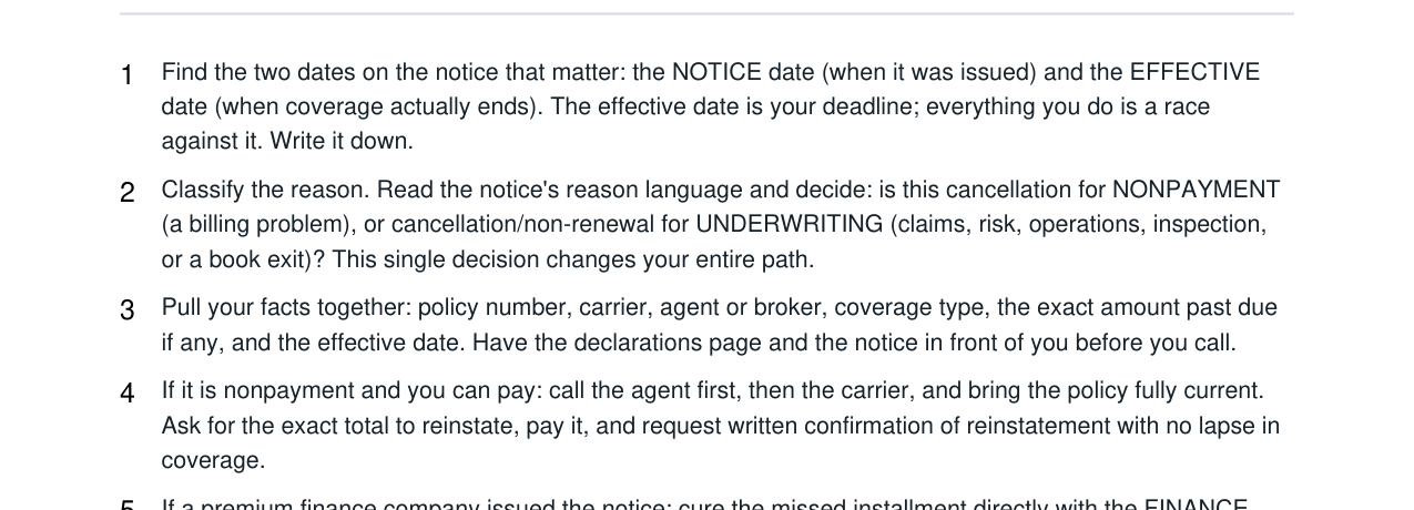 Business Insurance Cancellation + Reinstatement Kit real file preview
