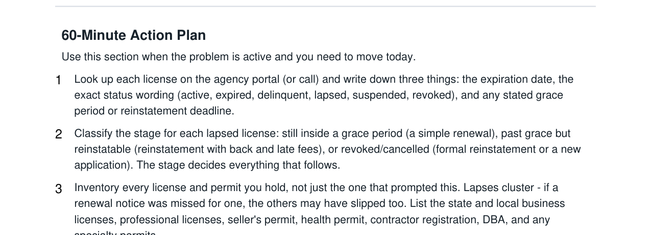 Business License Expired Renewal + Reinstatement Kit real file preview