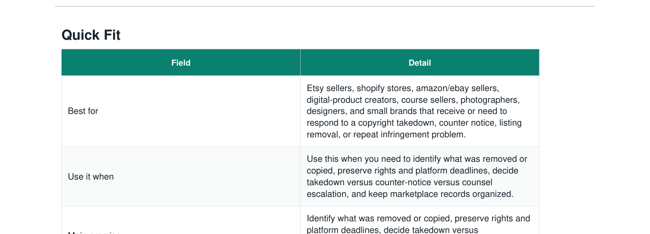 DMCA Takedown + Counter-Notice Response Kit real file preview